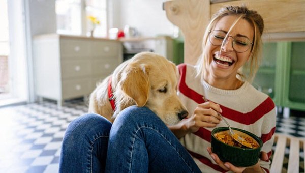 Finding the Perfect Pet Friendly Room for Rent
