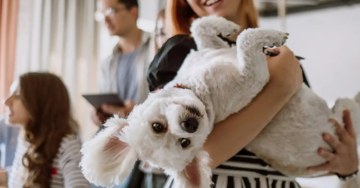 The Ultimate Guide to Keeping Your Pets Happy and Healthy
