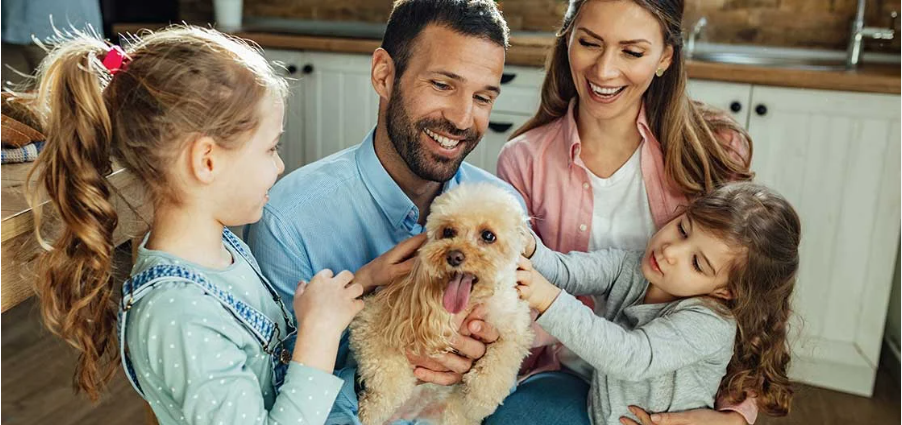 Top Pet Care Tips Every Pet Owner Should Know in 2025